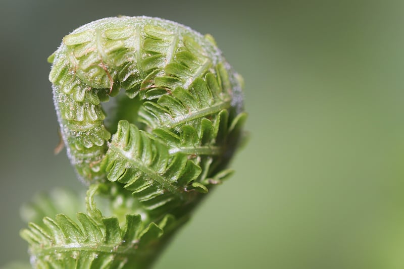 Soil Tips