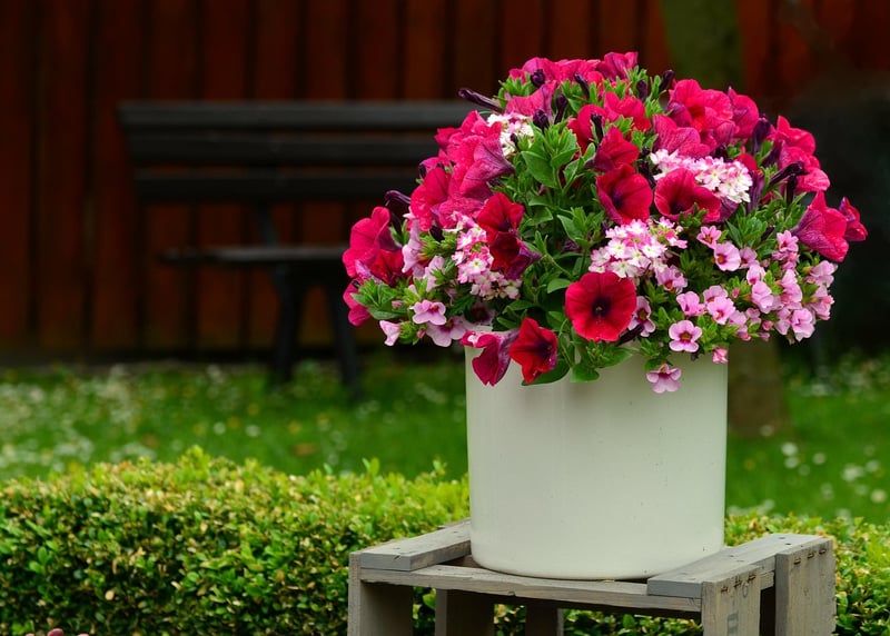 Vertical Flower Garden